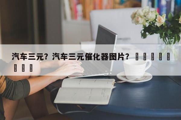 汽车三元？汽车三元催化器图片？								