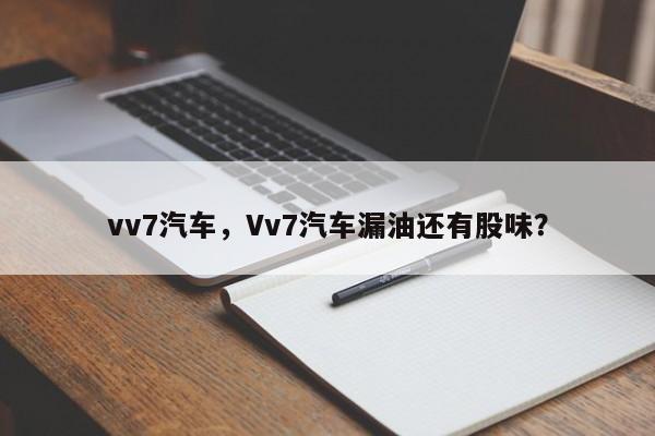 vv7汽车，Vv7汽车漏油还有股味？