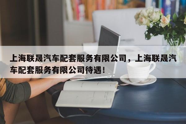 上海联晟汽车配套服务有限公司，上海联晟汽车配套服务有限公司待遇！