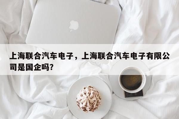 上海联合汽车电子，上海联合汽车电子有限公司是国企吗？