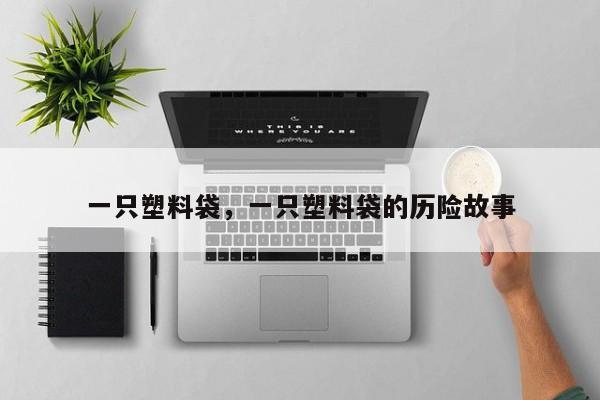 一只塑料袋，一只塑料袋的历险故事