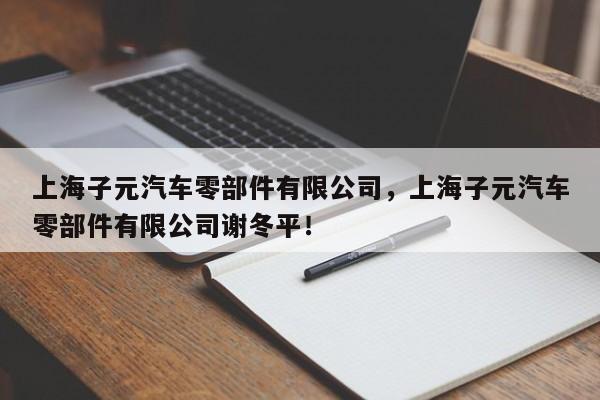 上海子元汽车零部件有限公司，上海子元汽车零部件有限公司谢冬平！