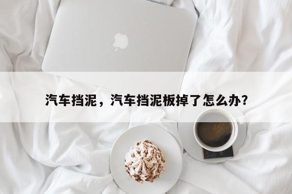 汽车挡泥，汽车挡泥板掉了怎么办？