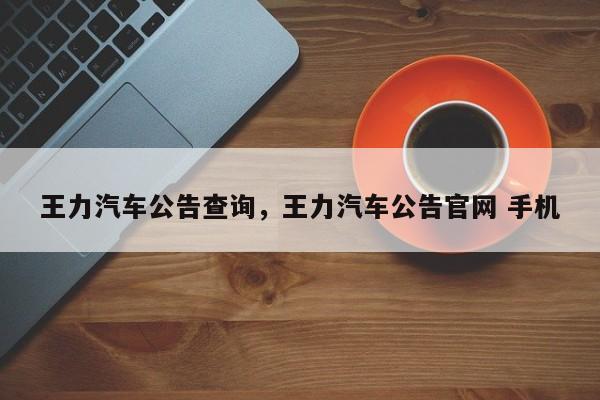 王力汽车公告查询，王力汽车公告官网 手机