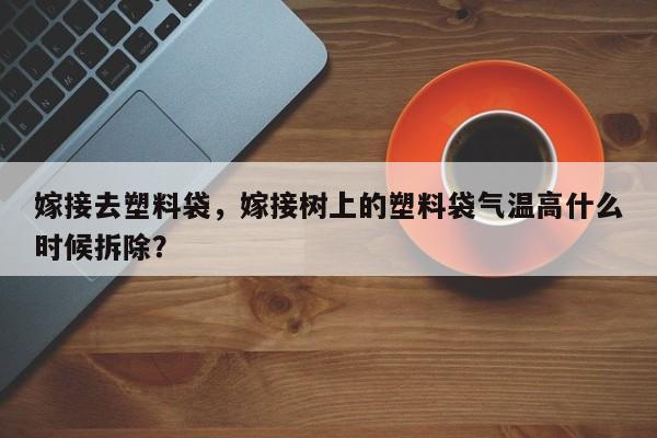 嫁接去塑料袋，嫁接树上的塑料袋气温高什么时候拆除？