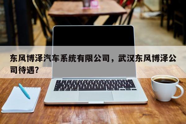 东风博泽汽车系统有限公司，武汉东风博泽公司待遇？